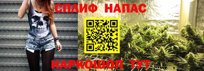 a pvp Аргун
