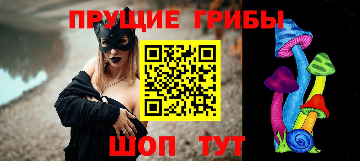 Великий Устюг  Псилоцибиновые грибы MAGIC MUSHROOMS  Вход с VPN 